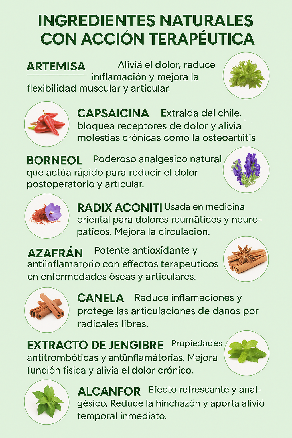 NeuroRelief Flex™ – Parches terapéuticos para varias zonas del cuerpo